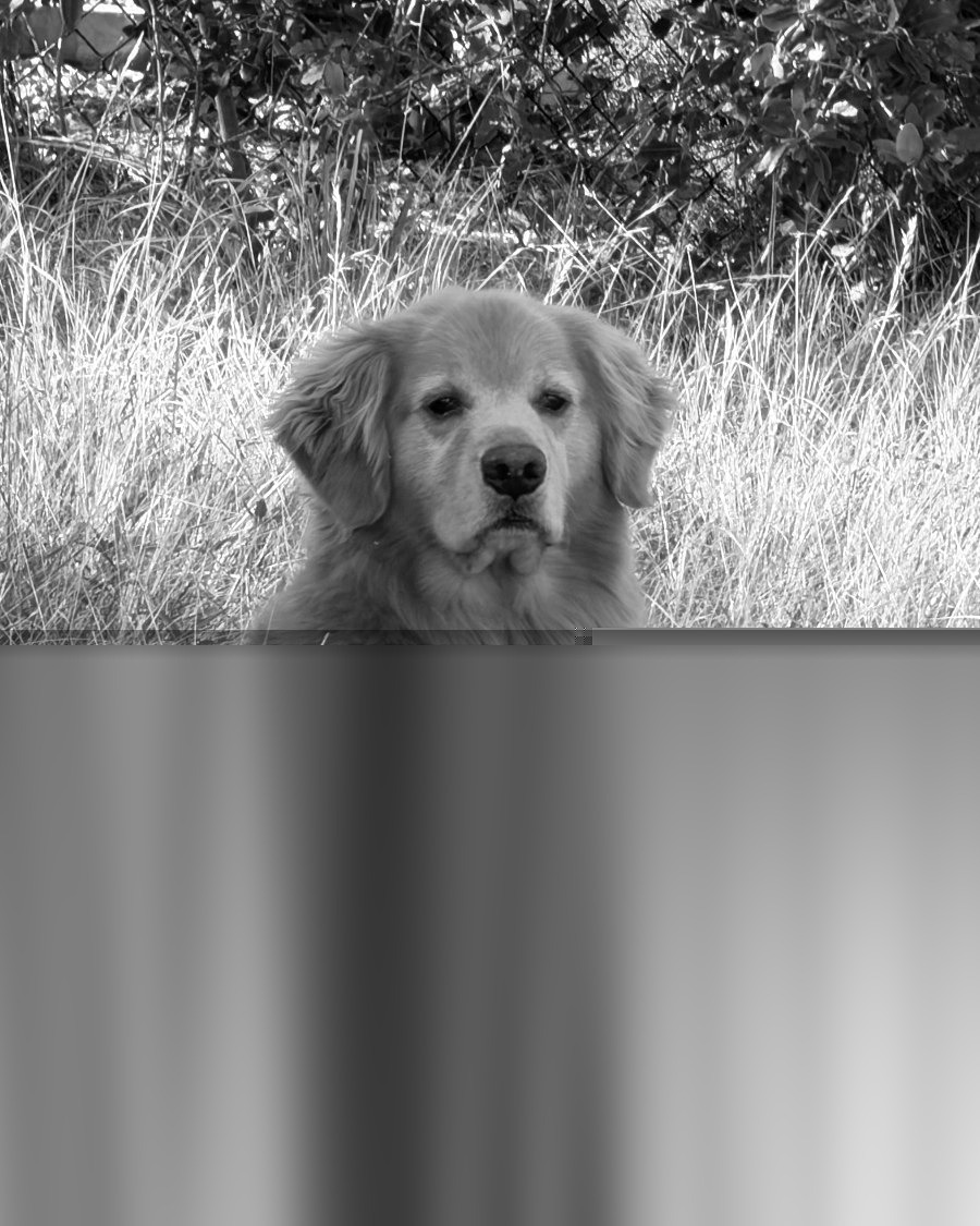 Taking a photo in the app